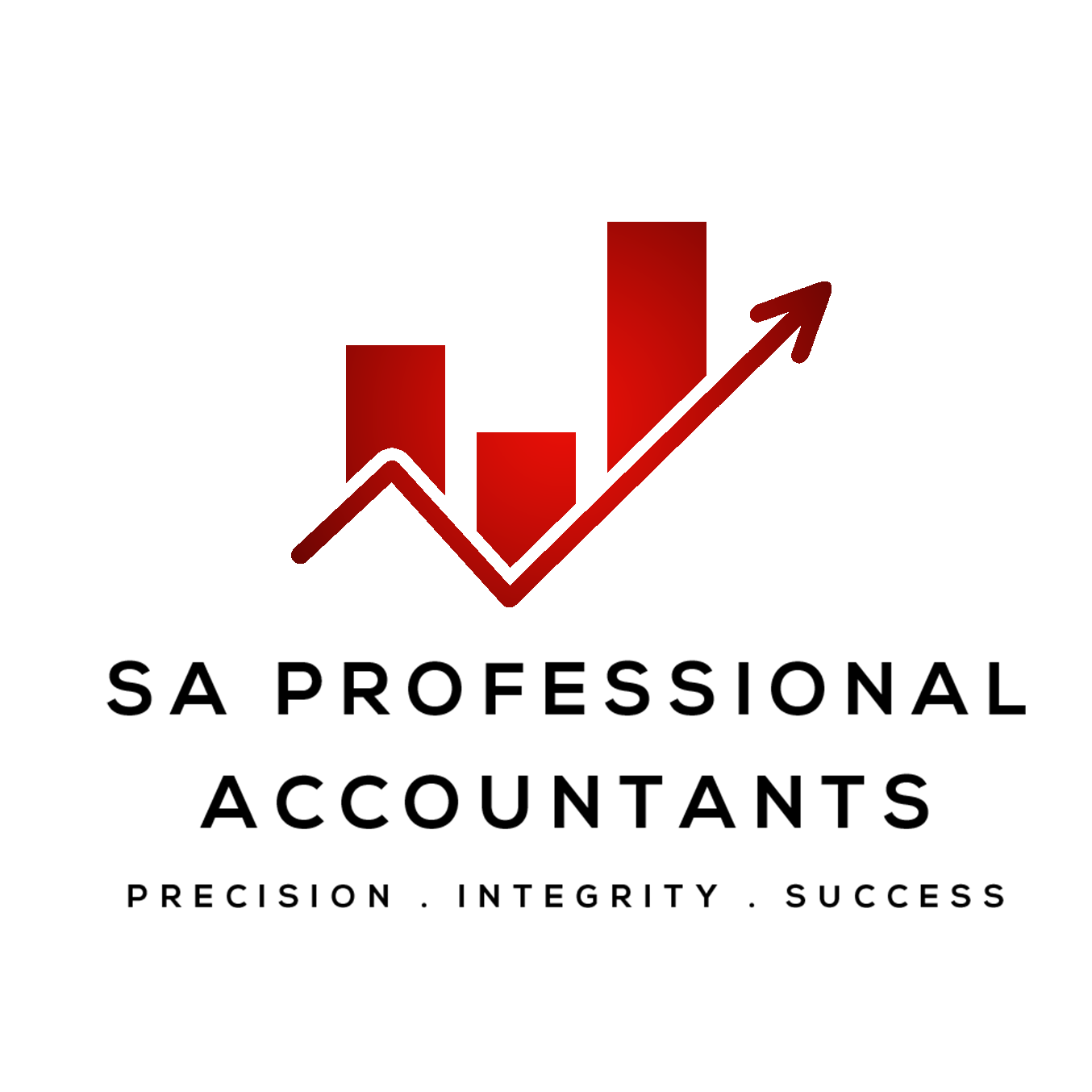 SA Professional Accountants